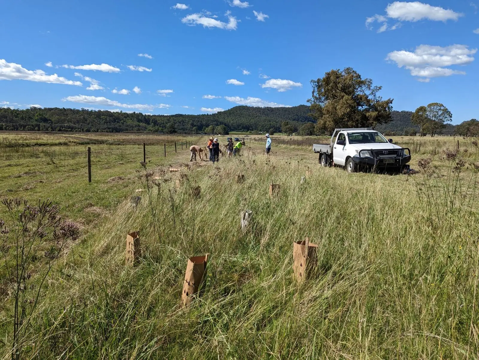 Family and friends planting native seedlings along a fence line